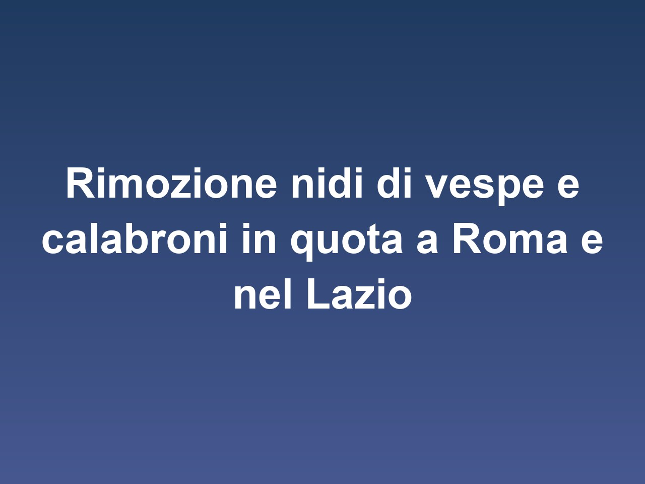 Rimozione nidi di vespe e calabroni in quota a Roma e nel Lazio